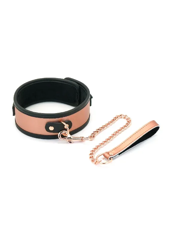 NEW Rose Gold Memory Collar and Leash